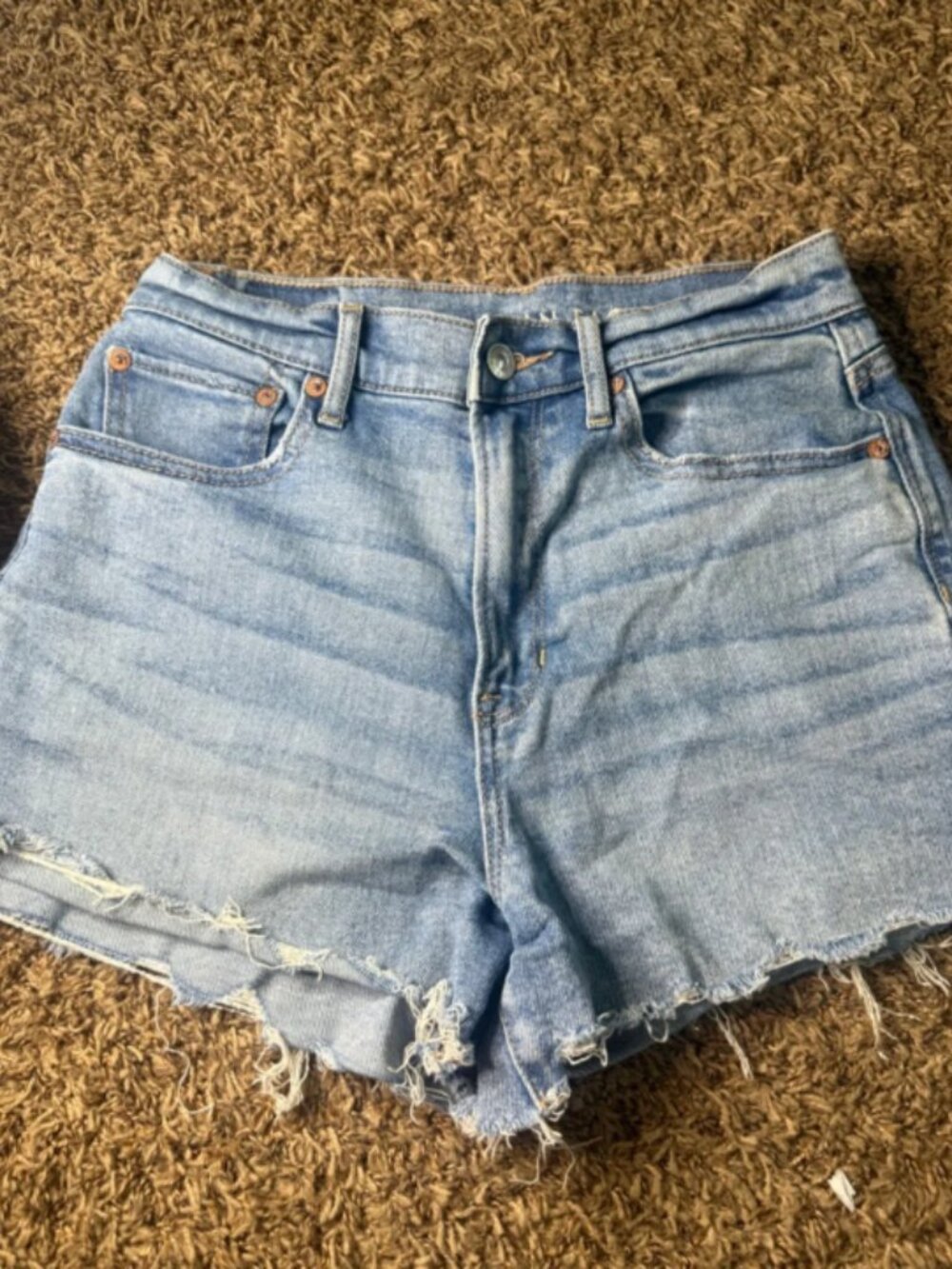 American Eagle Outfitters Light Blue Stretch Denim Shorts